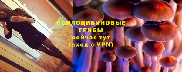 a pvp Алексин