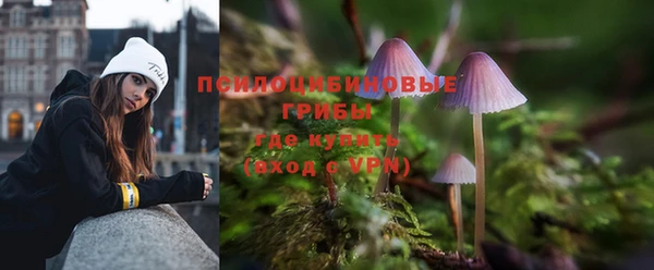 бутират Арсеньев
