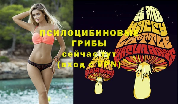 твердый Аркадак