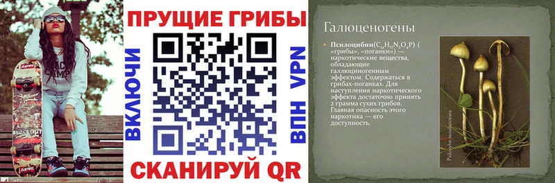 Галлюциногенные грибы ЛСД  Сосенский 